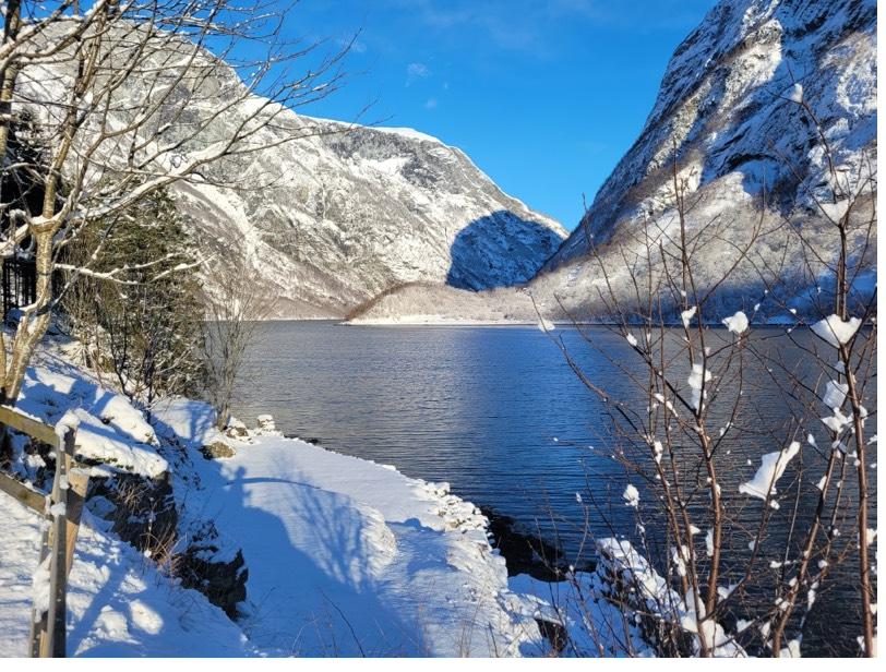 Snow on the shore of the Nærøyfjord at Bakka on a clear winter day